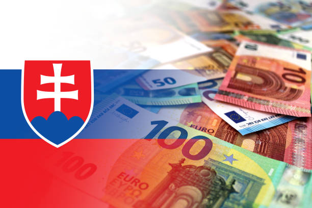 hlavný investor